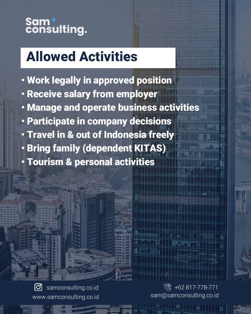 Activities allowed for indonesia E25 visa holders
