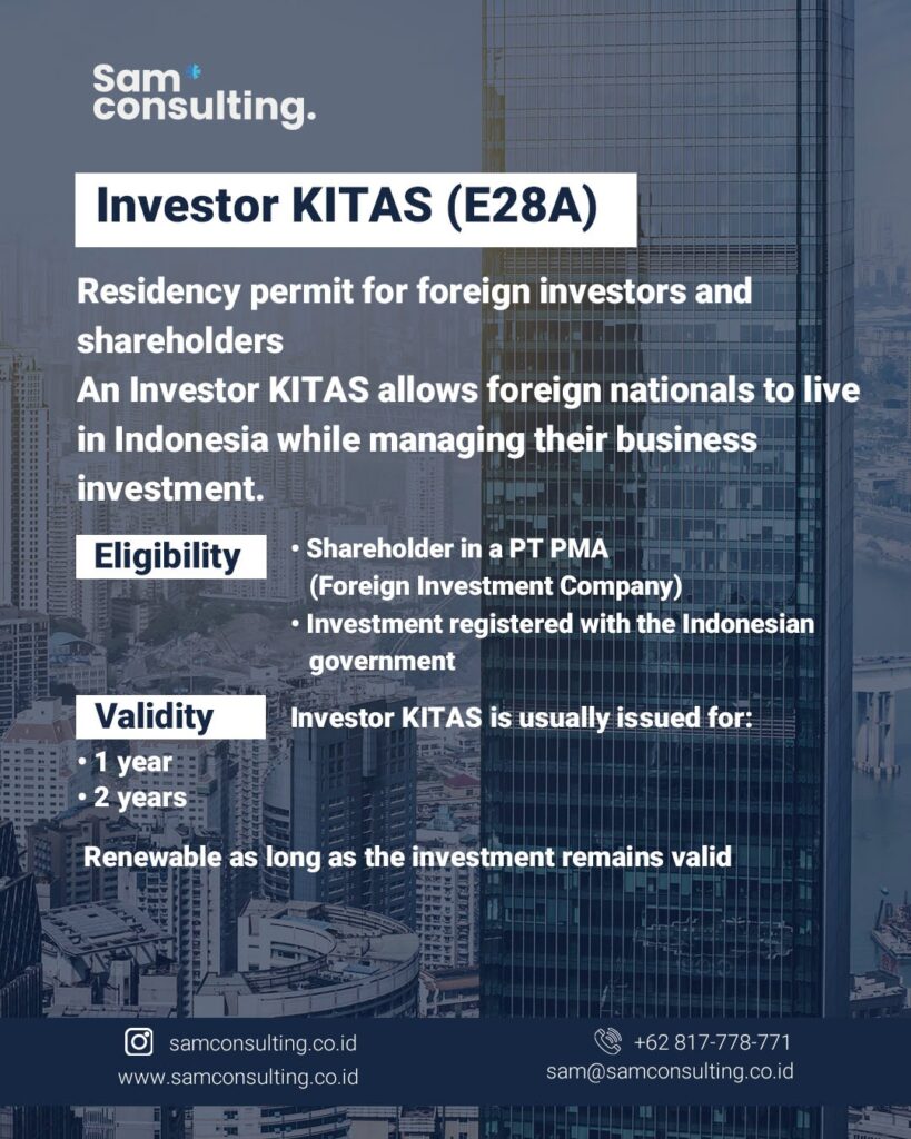 Investor visa E28A